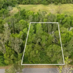 Trees, Trees Everywhere: Should I Clear My Lot Before I Try to Sell It?